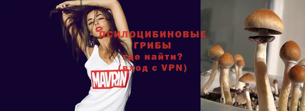 Альфа ПВП Волоколамск