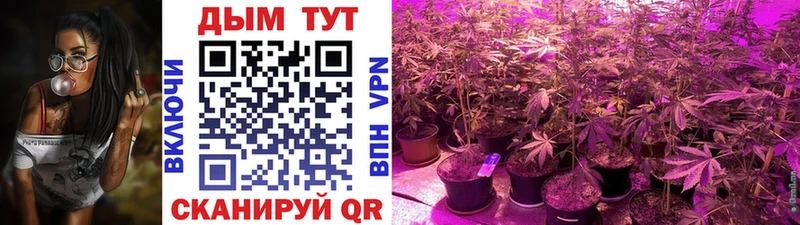 Каннабис VHQ  Купить  Межгорье 